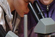 Masopust pohledem biologa