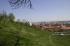 petrinske-sady