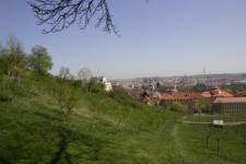 petrinske-sady