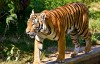 Pražská ZOO