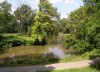 Stromovka 1
