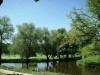 Stromovka 2
