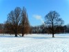 Stromovka