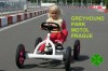 Pedal_Go-Kart_Prague_Greyhund_Park_Motol