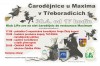 carodejnice treboradice-2015_web
