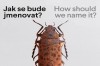 jak se bude jmenovat