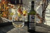 Vinobrani Uvodni