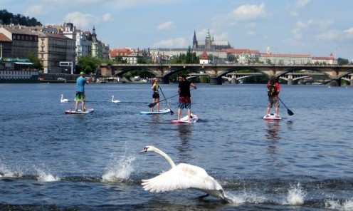 paddle boarding