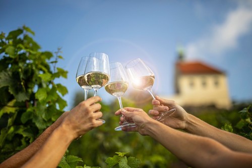 Vinobrani_v_Botanicke_Zahrade