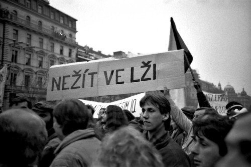 nezit-ve-lzi