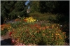 botanicka-zahrada-troja110927_004