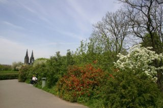 vysehrad-jarni002