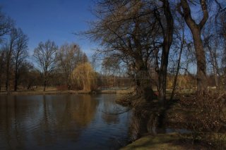 stromovka-110324_032