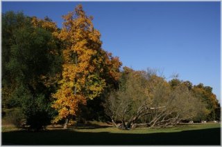 Petřín - zahrada Kinských