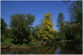 pha7-stromovka110506_054