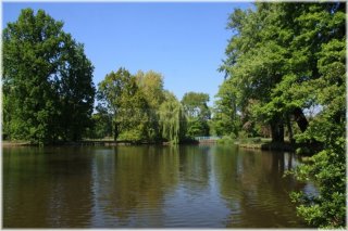 pha7-stromovka110506_059