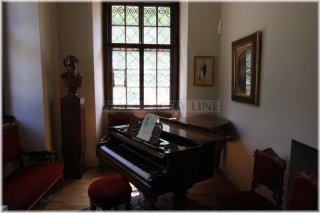 Michnův letohrádek(Amerika) a muzeum Antonína Dvořáka - interiér muzea