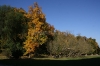 Petřín -  zahrada Kinských