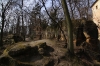 petrin_piskovcove-skaly_110312_006
