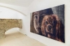 Nová Galerie na Vinohradech