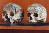 praha-2-hrdlickovo-muzeum-cloveka05