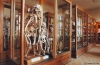praha-2-hrdlickovo-muzeum-cloveka06