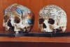 Praha 2 - Hrdličkovo muzeum člověka