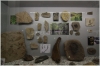 Chlupáčovo muzeum historie země