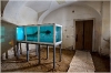 Muzeum moderního umění - Muzeum of Young Art