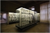 Národní muzeum - Zoologická expozice
