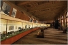 Národní muzeum - Paleontologická expozice