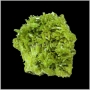 Mineralia - výstava minerálů - Pyromorfit