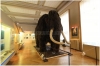 pha1-narodni-muzeum110402_006