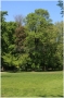 pha7-stromovka110506_019