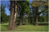 pha7-stromovka110506_025
