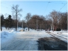 pha7_stromovka_101230_001