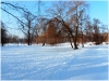 pha7_stromovka_101230_005
