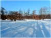 pha7_stromovka_101230_006