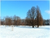 pha7_stromovka_101230_007
