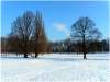 pha7_stromovka_101230_008