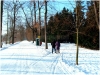 pha7_stromovka_101230_009