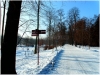 pha7_stromovka_101230_011
