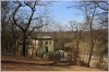 stromovka-110324_004