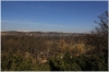 stromovka-110324_006