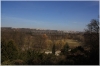 stromovka-110324_007