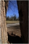 stromovka-110324_014