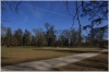 stromovka-110324_015