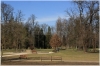 stromovka-110324_017