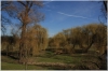 stromovka-110324_019