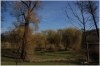 stromovka-110324_020
